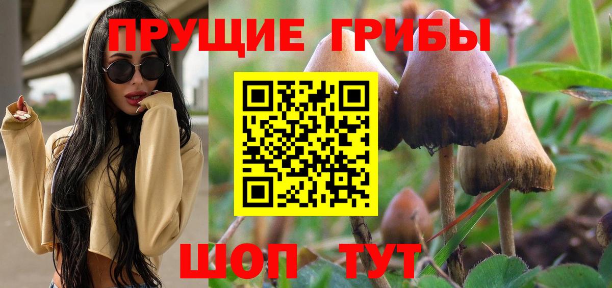 Псилоцибиновые грибы ЛСД Чита