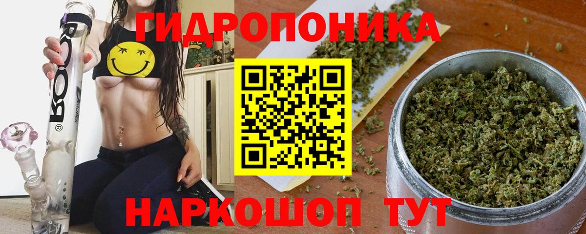 Шишки марихуана план Чита